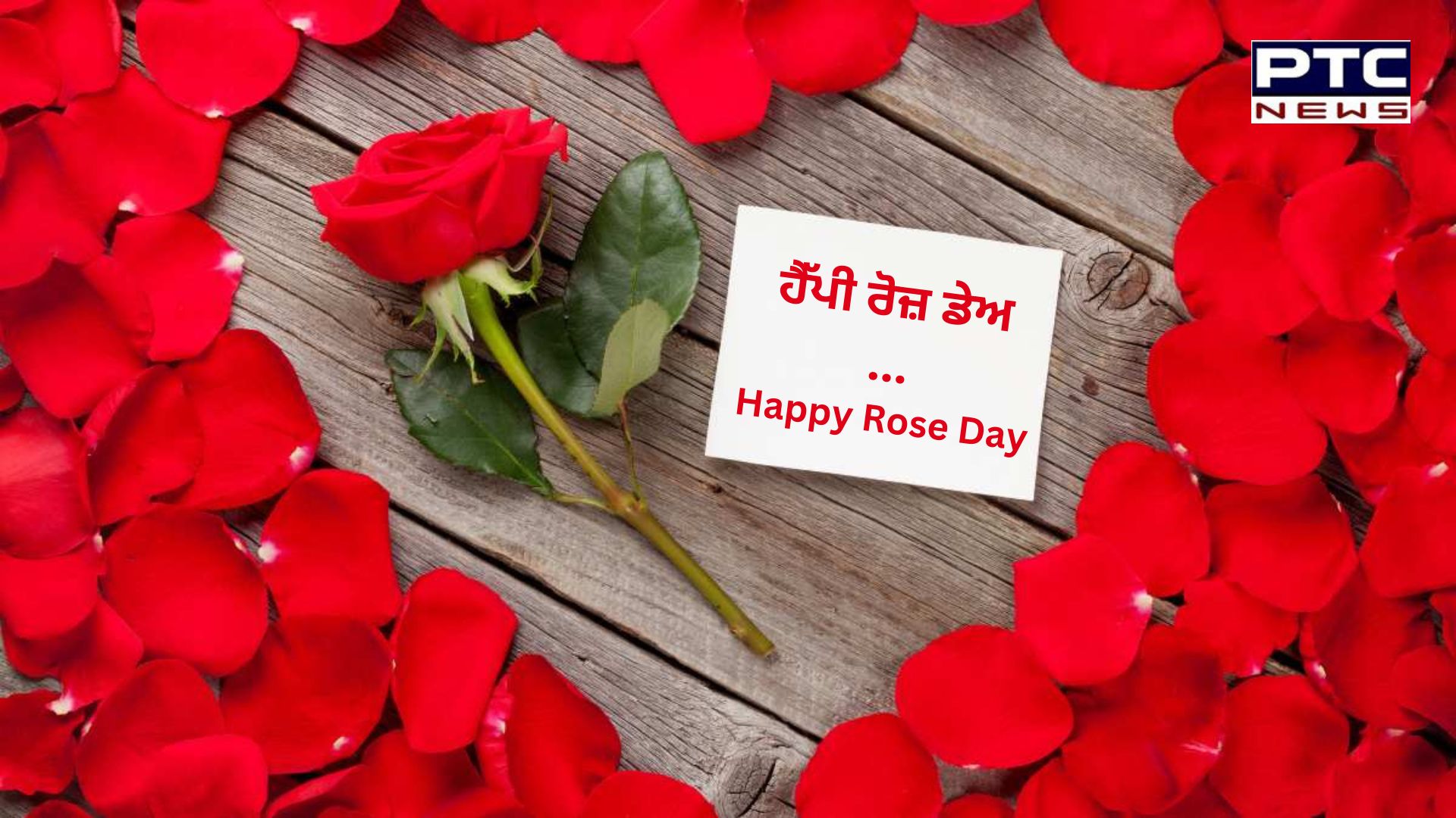 Rose Day 2024 : ਦੋਸਤੀ ਹੋਵੇ ਜਾਂ ਪਿਆਰ, ਰੋਜ਼ ਡੇਅ 'ਤੇ ਗੁਲਾਬ ਦਾ ਫੁੱਲ ਦੇ ਕੇ ਰਿਸ਼ਤਿਆਂ 'ਚ ਵਧਾਉ ਮਿਠਾਸ!